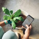 MZ세대도 주목하는 ‘걷기 루틴’…쉽게 실천하는 건강 습관법 Person planting a houseplant and checking phone