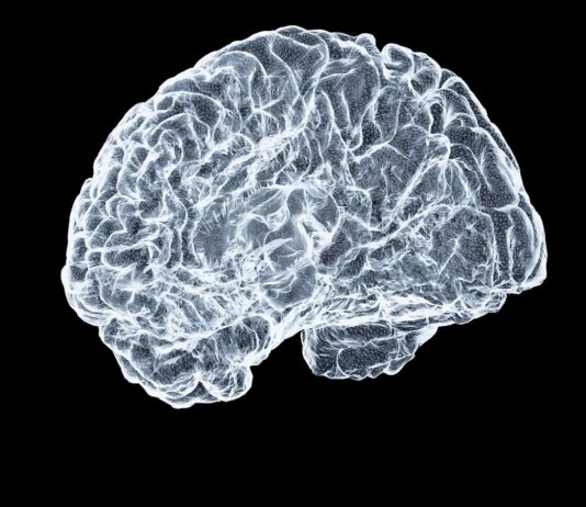 ‘뇌건강’, 더 이상 먼 이야기 아니다… 일상 속 똑똑하게 챙기는 방법 a close up of a human brain on a black background