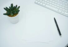 웰니스 문화, 일상 속 작은 변화로 건강한 행복 찾기 green cactus plant on white table